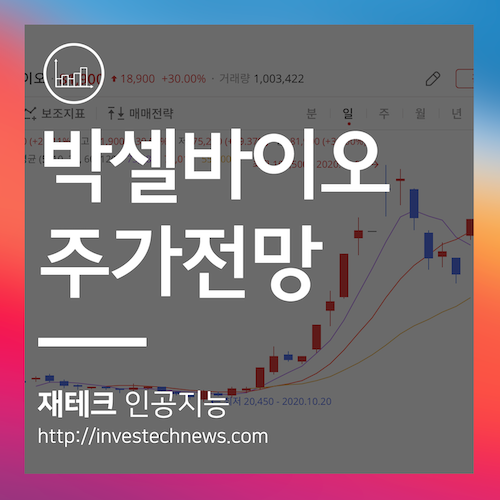 박셀바이오 주가전망 소개