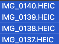 변환할 HEIG 파일들을 선택